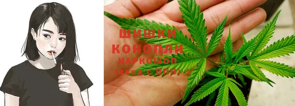 крисы Балахна