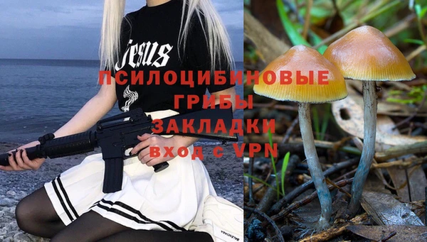 крисы Балахна